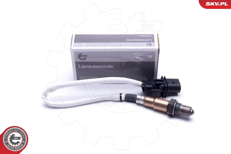 Oxygen Sensor